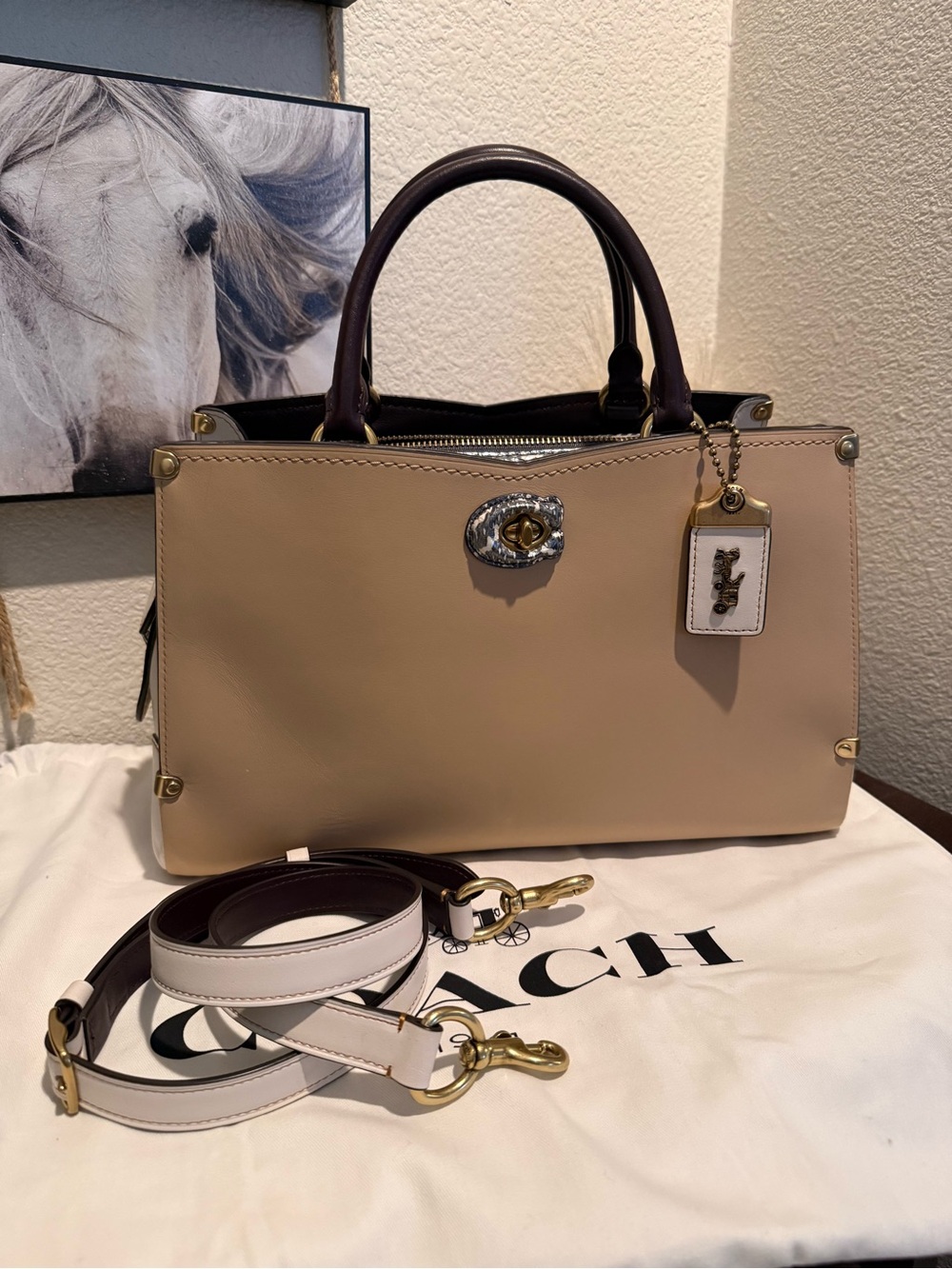 Coach Mason Leather Satchel